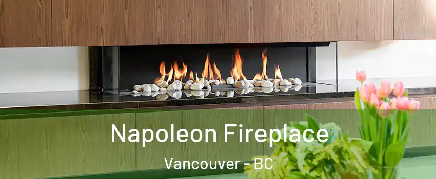  Napoleon Fireplace Vancouver - BC