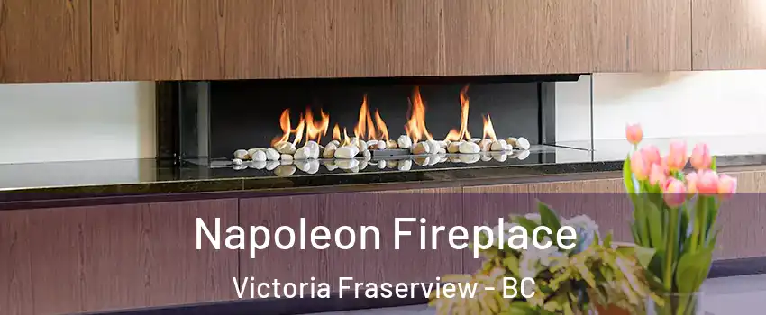  Napoleon Fireplace Victoria Fraserview - BC