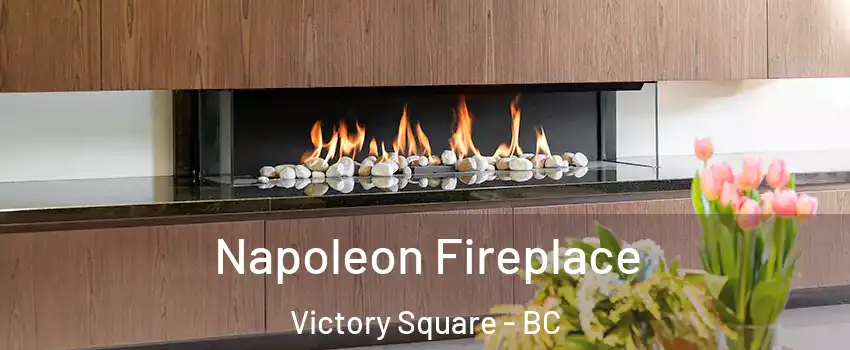  Napoleon Fireplace Victory Square - BC