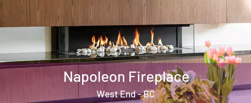  Napoleon Fireplace West End - BC