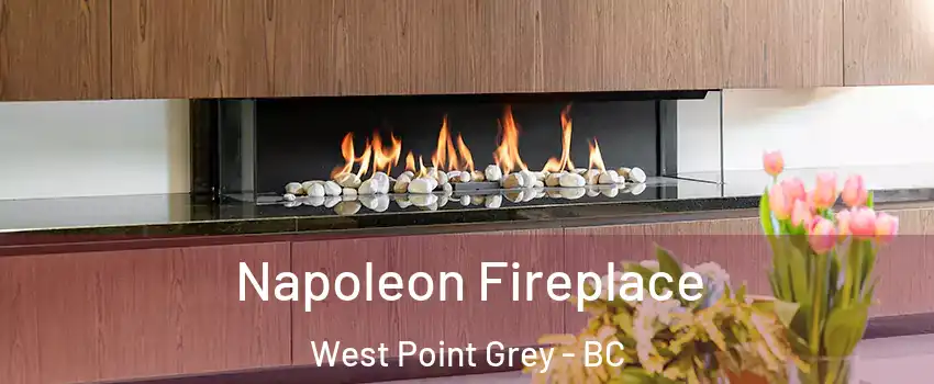  Napoleon Fireplace West Point Grey - BC