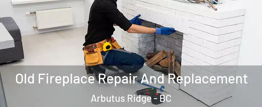  Old Fireplace Repair And Replacement Arbutus Ridge - BC