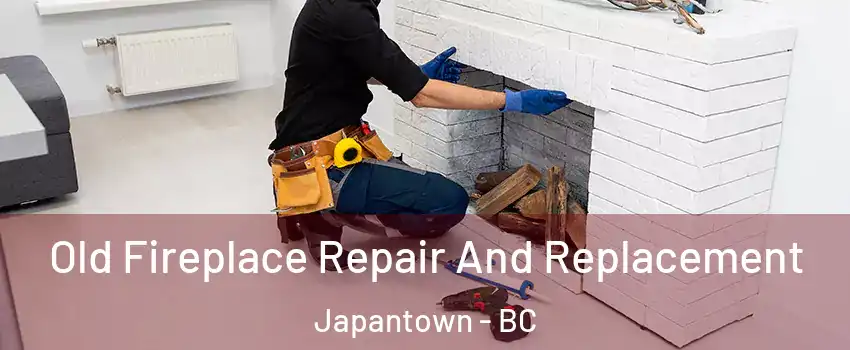  Old Fireplace Repair And Replacement Japantown - BC