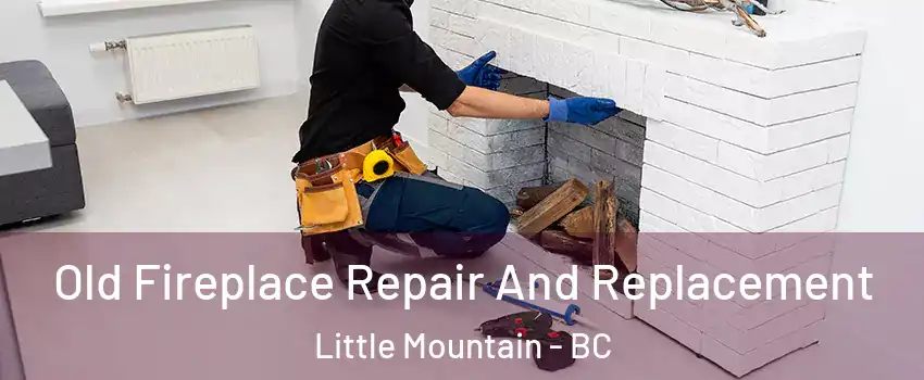  Old Fireplace Repair And Replacement Little Mountain - BC