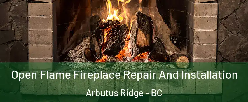  Open Flame Fireplace Repair And Installation Arbutus Ridge - BC