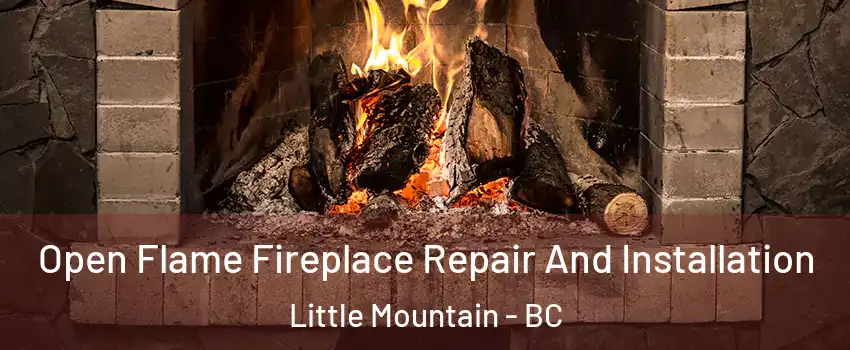 Open Flame Fireplace Repair And Installation Little Mountain - BC