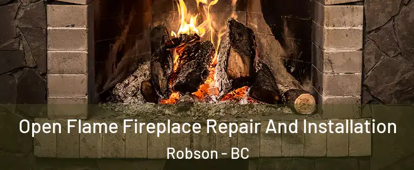  Open Flame Fireplace Repair And Installation Robson - BC