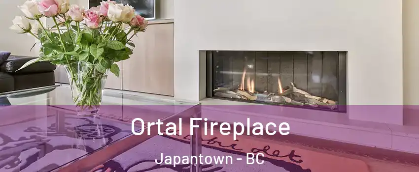 Ortal Fireplace Japantown - BC