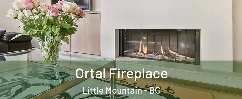 Ortal Fireplace Little Mountain - BC