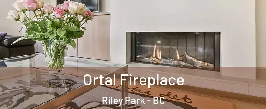 Ortal Fireplace Riley Park - BC