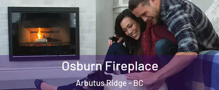  Osburn Fireplace Arbutus Ridge - BC