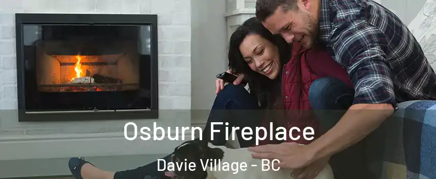  Osburn Fireplace Davie Village - BC