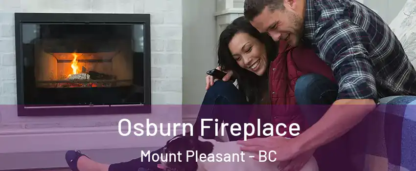  Osburn Fireplace Mount Pleasant - BC