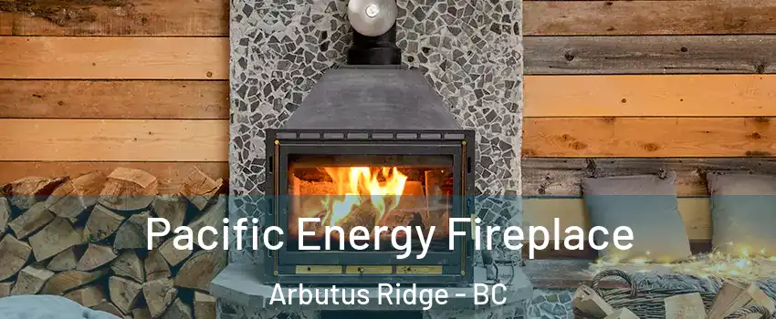  Pacific Energy Fireplace Arbutus Ridge - BC
