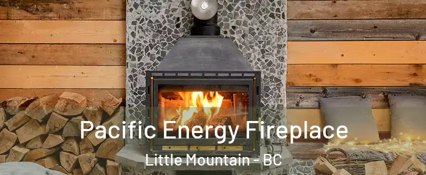  Pacific Energy Fireplace Little Mountain - BC