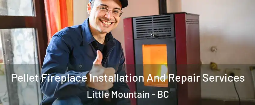  Pellet Fireplace Installation And Repair Services Little Mountain - BC