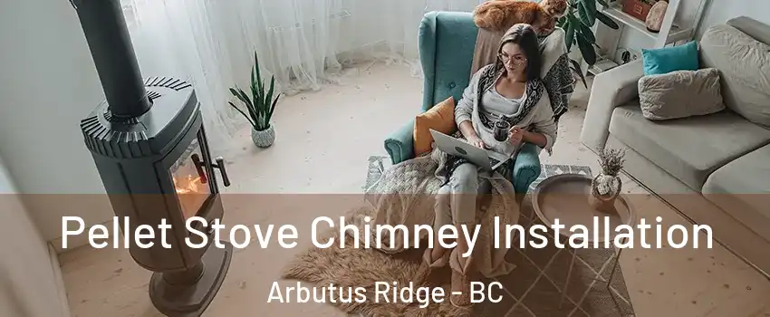  Pellet Stove Chimney Installation Arbutus Ridge - BC