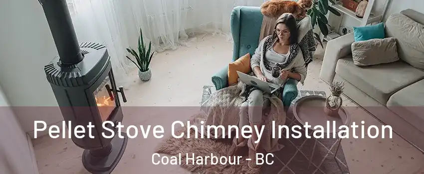  Pellet Stove Chimney Installation Coal Harbour - BC