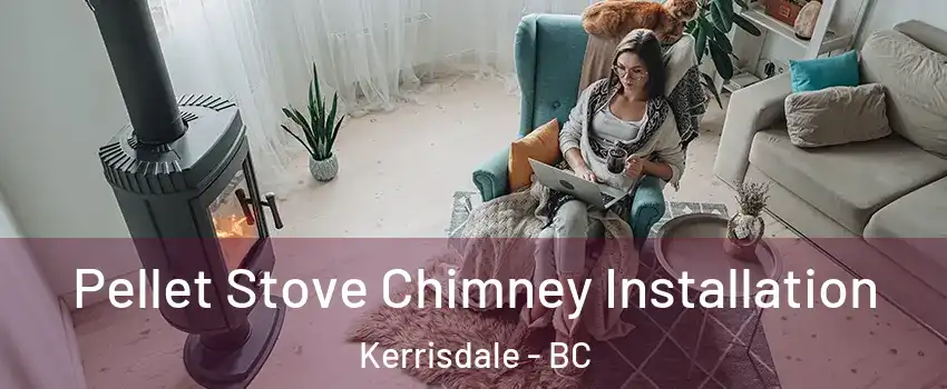  Pellet Stove Chimney Installation Kerrisdale - BC