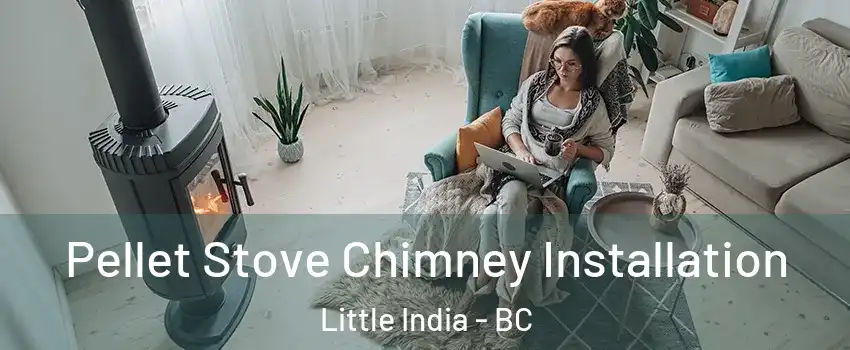  Pellet Stove Chimney Installation Little India - BC