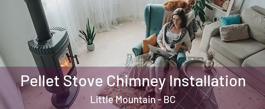  Pellet Stove Chimney Installation Little Mountain - BC
