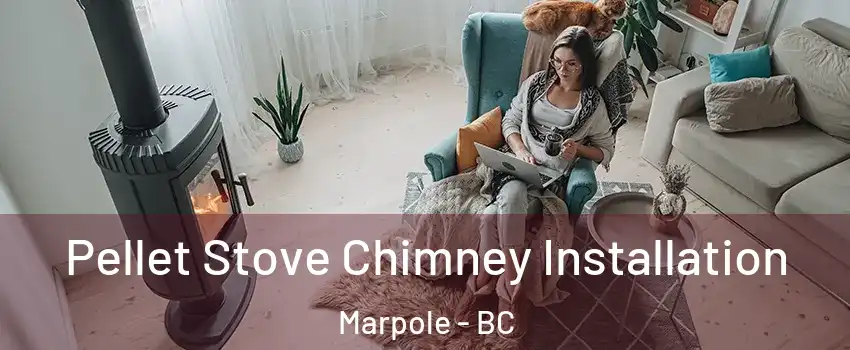  Pellet Stove Chimney Installation Marpole - BC