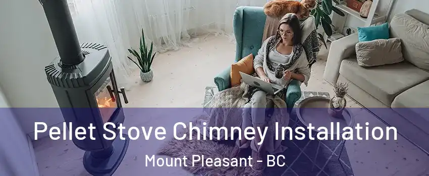  Pellet Stove Chimney Installation Mount Pleasant - BC