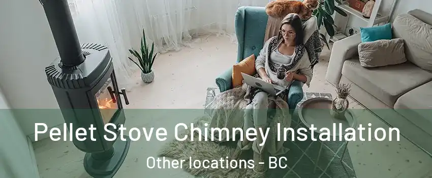  Pellet Stove Chimney Installation Other locations - BC