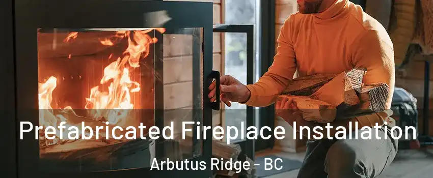  Prefabricated Fireplace Installation Arbutus Ridge - BC