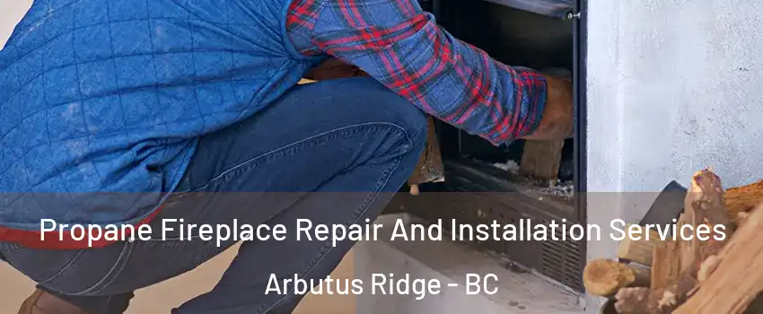  Propane Fireplace Repair And Installation Services Arbutus Ridge - BC