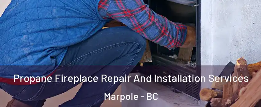  Propane Fireplace Repair And Installation Services Marpole - BC