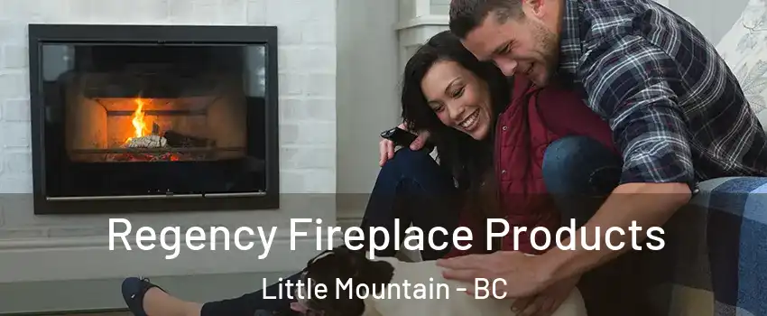  Regency Fireplace Products Little Mountain - BC
