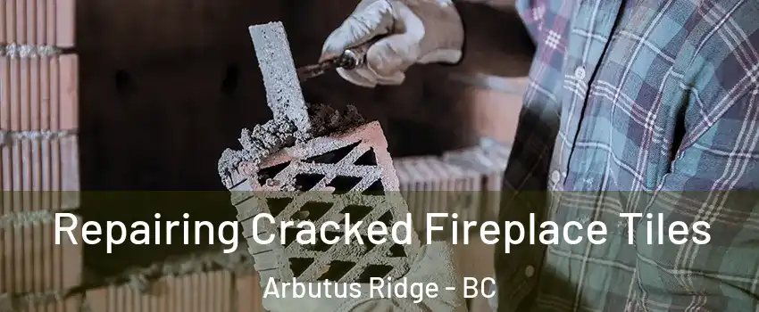  Repairing Cracked Fireplace Tiles Arbutus Ridge - BC