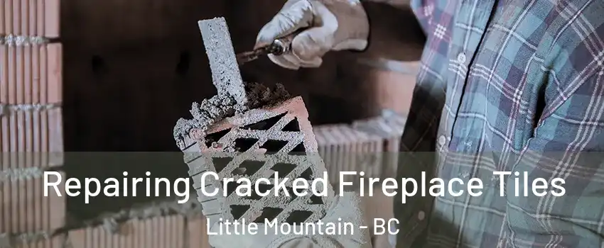  Repairing Cracked Fireplace Tiles Little Mountain - BC