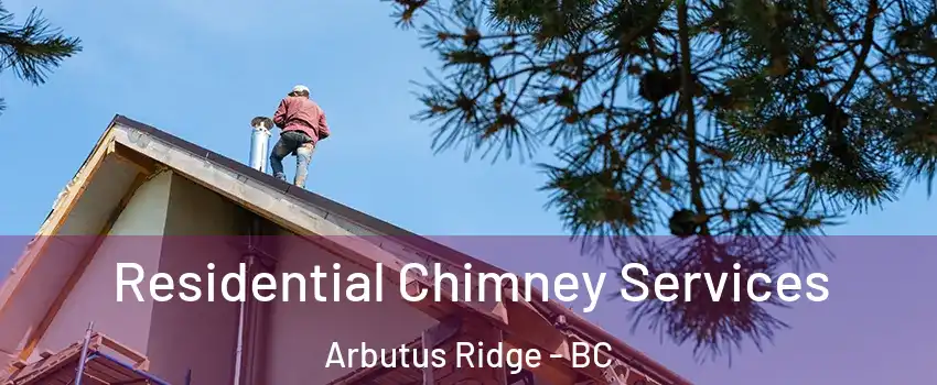  Residential Chimney Services Arbutus Ridge - BC
