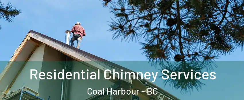  Residential Chimney Services Coal Harbour - BC