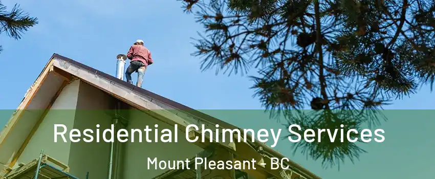  Residential Chimney Services Mount Pleasant - BC