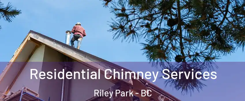  Residential Chimney Services Riley Park - BC