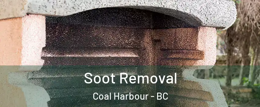  Soot Removal Coal Harbour - BC