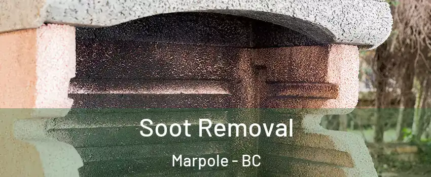  Soot Removal Marpole - BC