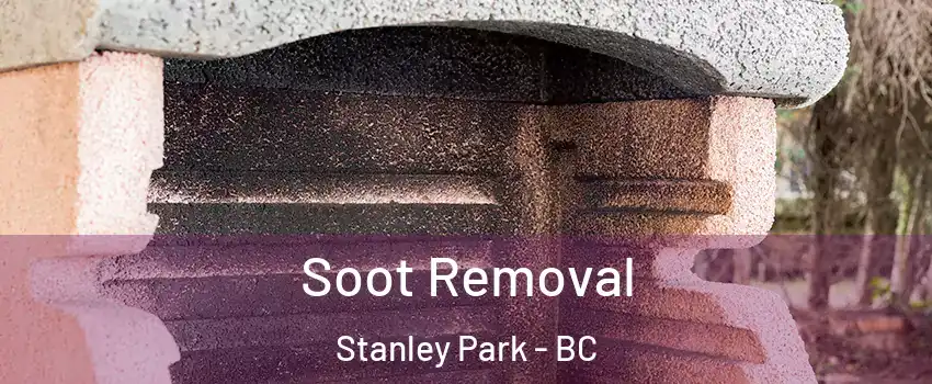  Soot Removal Stanley Park - BC
