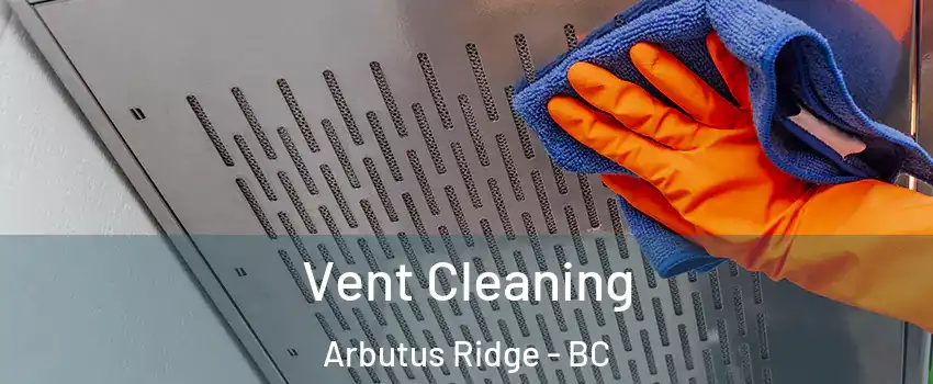  Vent Cleaning Arbutus Ridge - BC