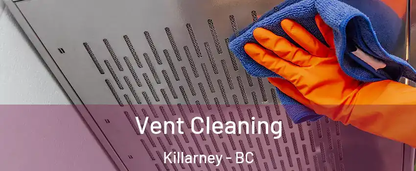  Vent Cleaning Killarney - BC