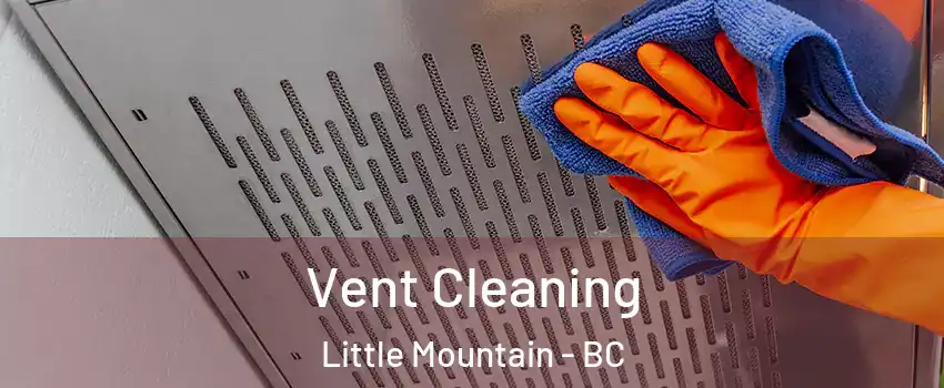  Vent Cleaning Little Mountain - BC