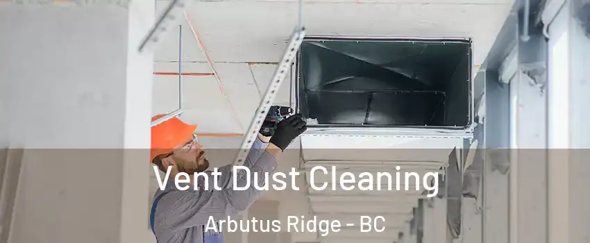  Vent Dust Cleaning Arbutus Ridge - BC
