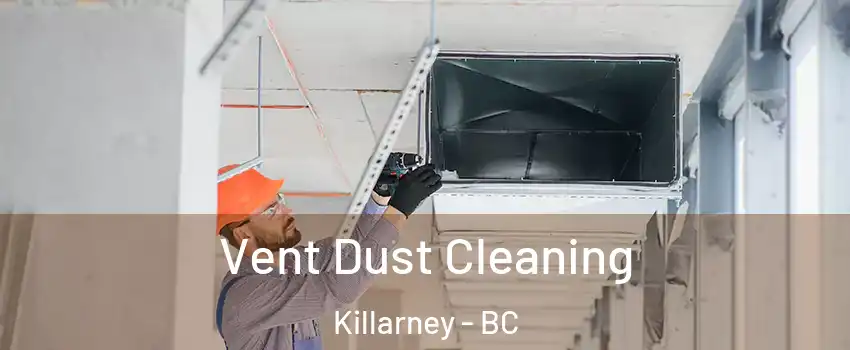  Vent Dust Cleaning Killarney - BC
