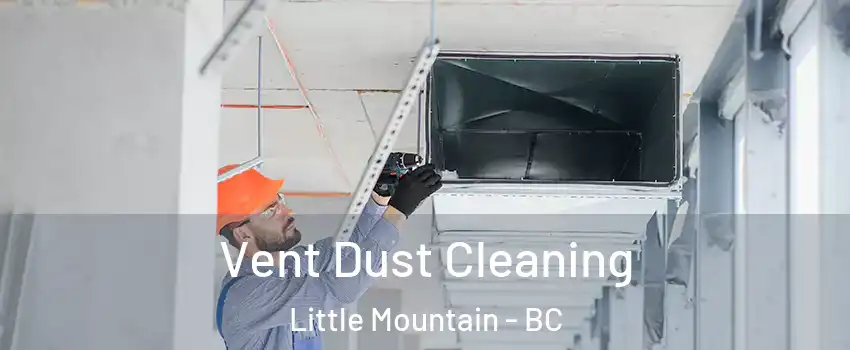  Vent Dust Cleaning Little Mountain - BC