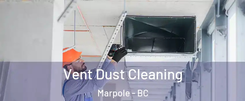  Vent Dust Cleaning Marpole - BC