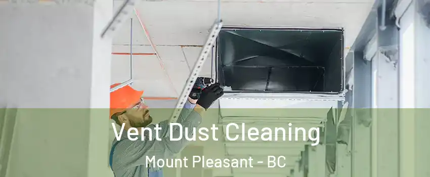  Vent Dust Cleaning Mount Pleasant - BC