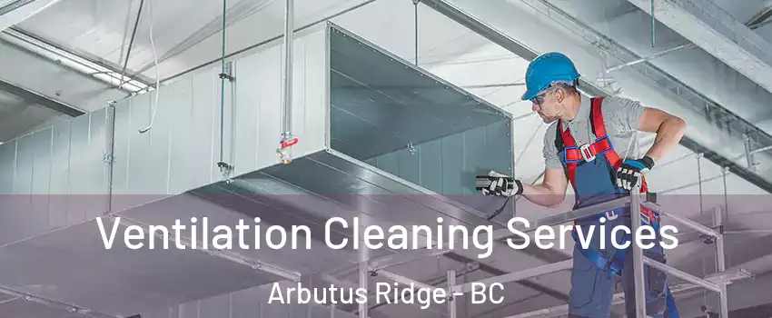  Ventilation Cleaning Services Arbutus Ridge - BC
